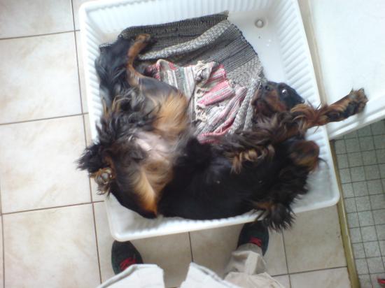 trop dure la vie.......
